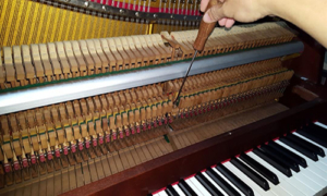 Regulación pianos